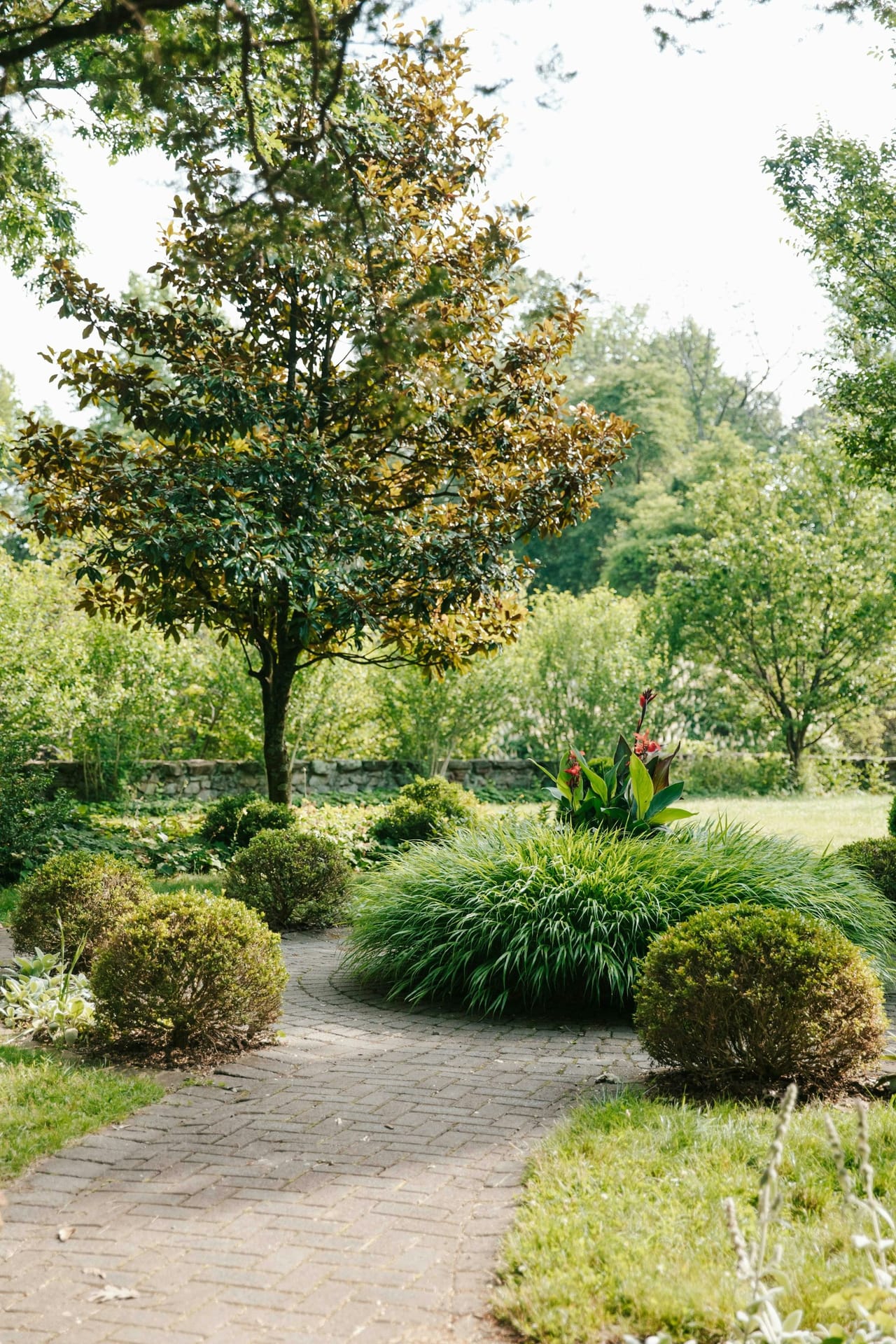 A brick path curving between round shrubs and tall trees in a green garden